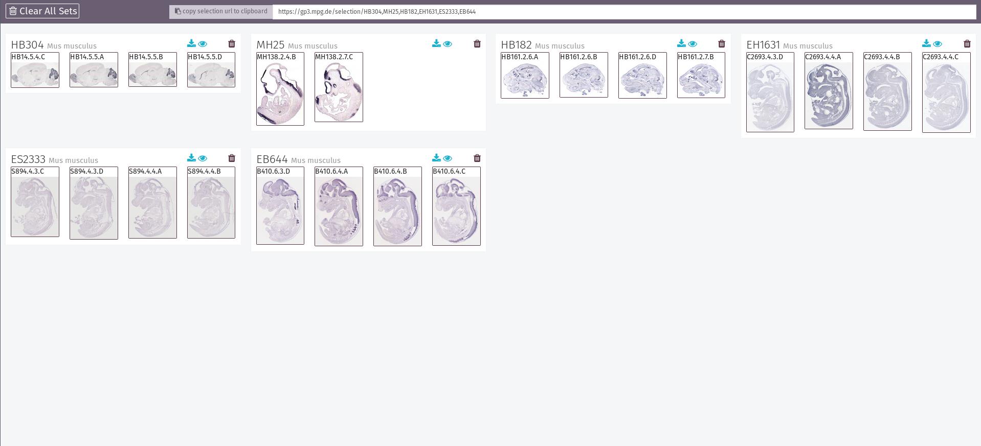 Genepaint Home of High Resolution Gene Expression Data